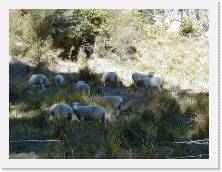 nz080a * 640 x 480 * (61KB)