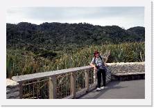 nz094 * 1786 x 1199 * (390KB)