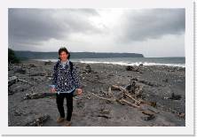 nz110 * 1786 x 1199 * (306KB)
