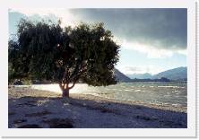 nz120 * 1786 x 1199 * (337KB)
