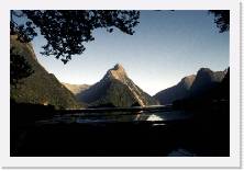 nz165 * 1786 x 1199 * (230KB)