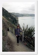 nz184 * 1192 x 1786 * (320KB)