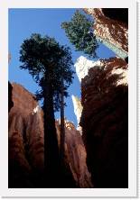 usa087 * 1192 x 1786 * (286KB)