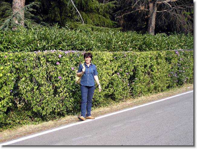 Clicca per scorrere le foto originali ingrandite