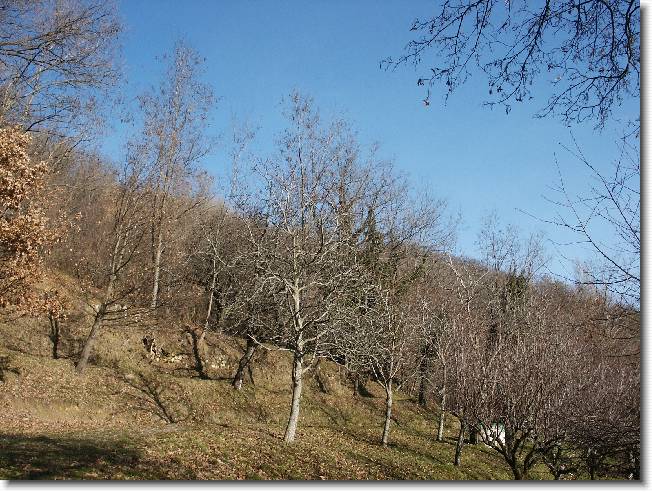 Clicca per scorrere le foto originali ingrandite
