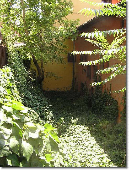 Clicca per scorrere le foto originali ingrandite