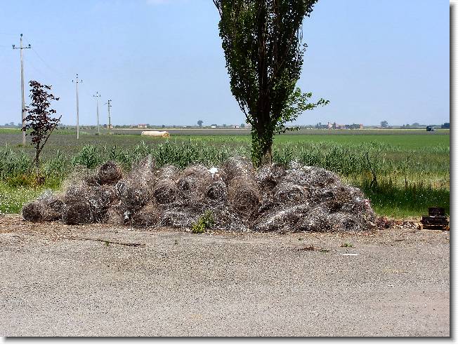 Clicca per scorrere le foto originali ingrandite