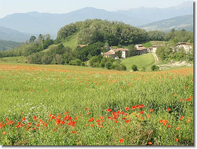 Clicca per scorrere le foto originali ingrandite