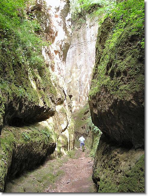 Clicca per scorrere le foto originali ingrandite