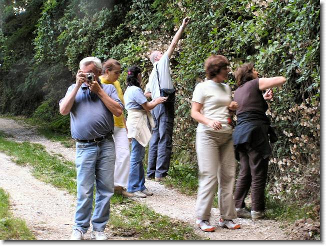 Clicca per scorrere le foto originali ingrandite