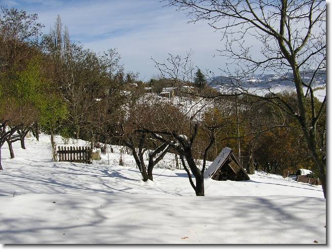 Clicca per scorrere le foto originali ingrandite