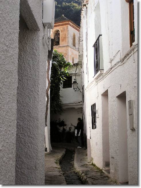 Clicca per scorrere le foto originali ingrandite