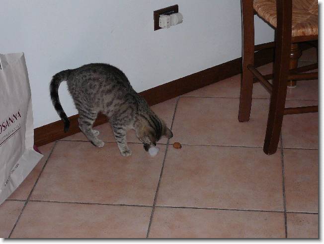 Clicca per scorrere le foto originali ingrandite
