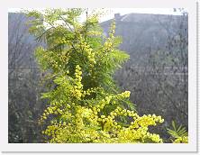 P1010179 * 2048 x 1536 * (678KB)