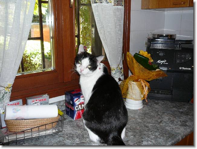 Clicca per scorrere le foto originali ingrandite