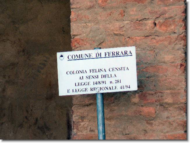 Clicca per scorrere le foto originali ingrandite