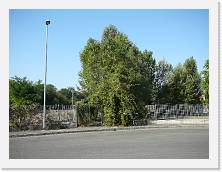 P1000843 * 2048 x 1536 * (1.59MB)