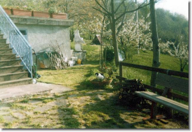 Clicca per scorrere le foto originali ingrandite