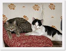 P2100065 * 2048 x 1536 * (656KB)