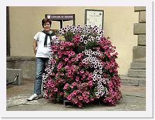 P6020118 * 2048 x 1536 * (682KB)