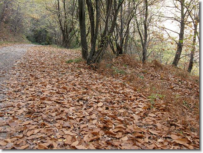 Clicca per scorrere le foto originali ingrandite