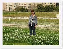 P3310244 * 2048 x 1536 * (618KB)