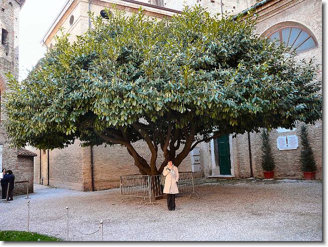 Clicca per scorrere le foto originali ingrandite