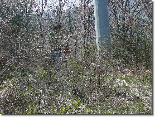Clicca per scorrere le foto originali ingrandite