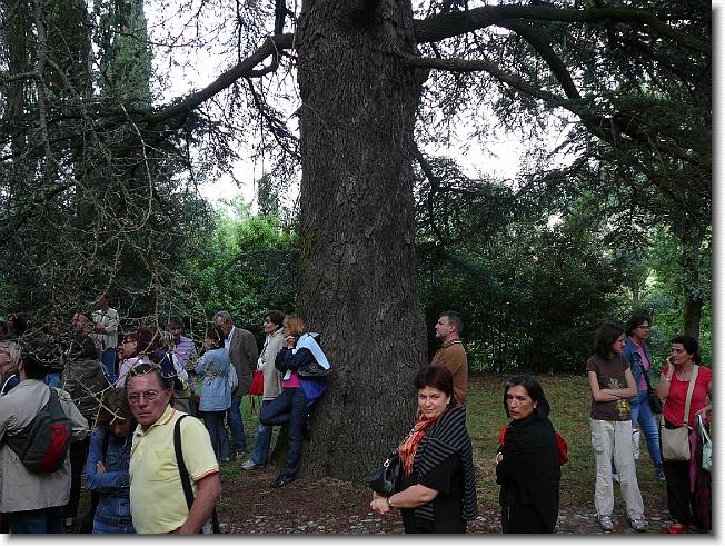 Clicca per scorrere le foto originali ingrandite