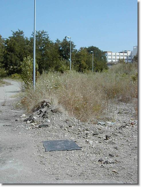 Clicca per scorrere le foto originali ingrandite