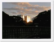 PA270029 * 2048 x 1536 * (274KB)