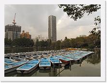 PA290063 * 2048 x 1536 * (528KB)
