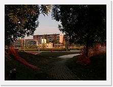 PA250016 * 2048 x 1536 * (1.34MB)