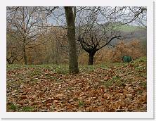 PC070012 * 2048 x 1536 * (1.34MB)