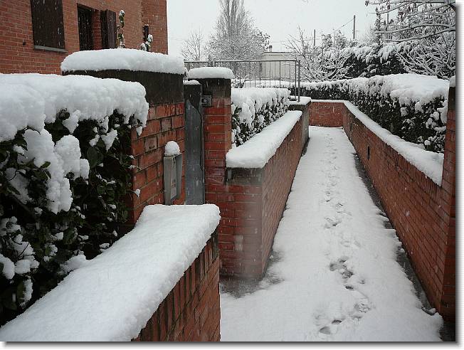 Clicca per scorrere le foto originali ingrandite