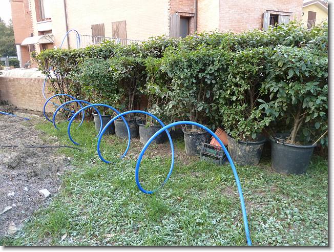 Clicca per scorrere le foto originali ingrandite
