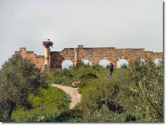 Clicca per scorrere le foto originali ingrandite