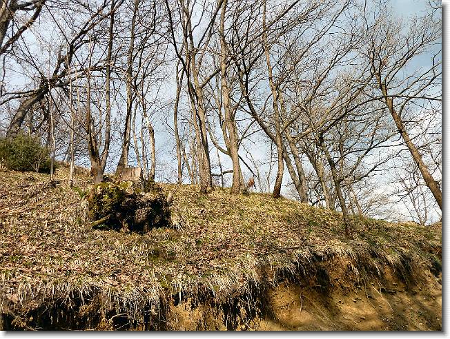 Clicca per scorrere le foto originali ingrandite