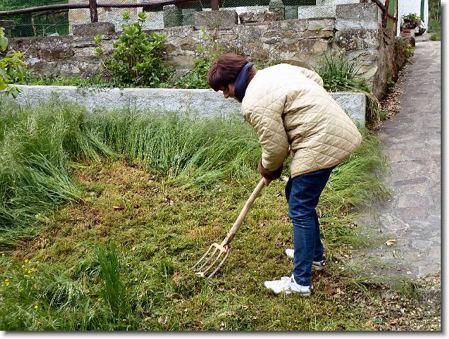 Clicca per scorrere le foto originali ingrandite