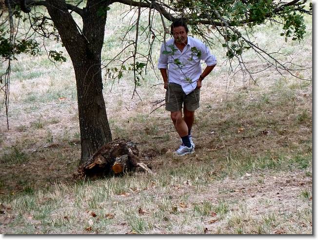 Clicca per scorrere le foto originali ingrandite