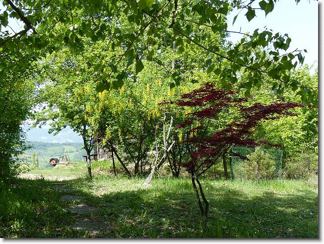 Clicca per scorrere le foto originali ingrandite