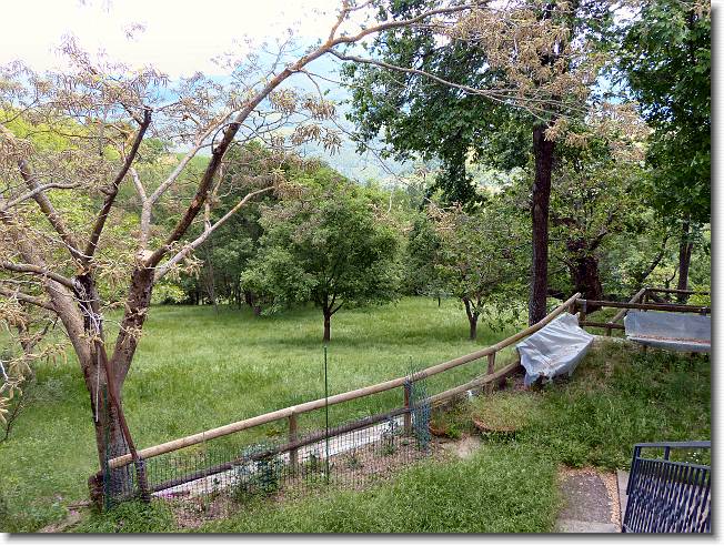 Clicca per scorrere le foto originali ingrandite