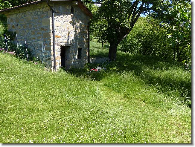 Clicca per scorrere le foto originali ingrandite