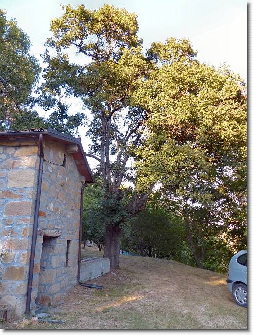 Clicca per scorrere le foto originali ingrandite