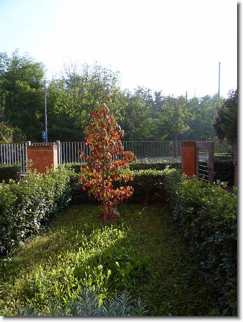 Clicca per scorrere le foto originali ingrandite