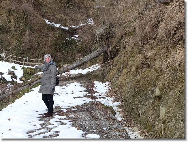 Clicca per scorrere le foto originali ingrandite