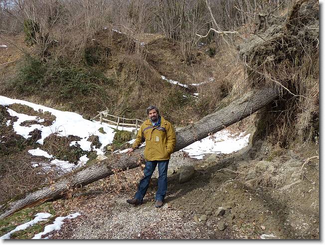 Clicca per scorrere le foto originali ingrandite