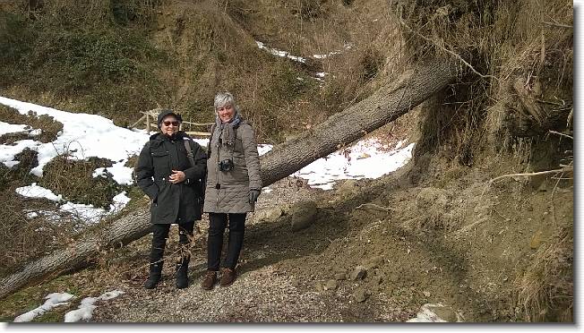 Clicca per scorrere le foto originali ingrandite