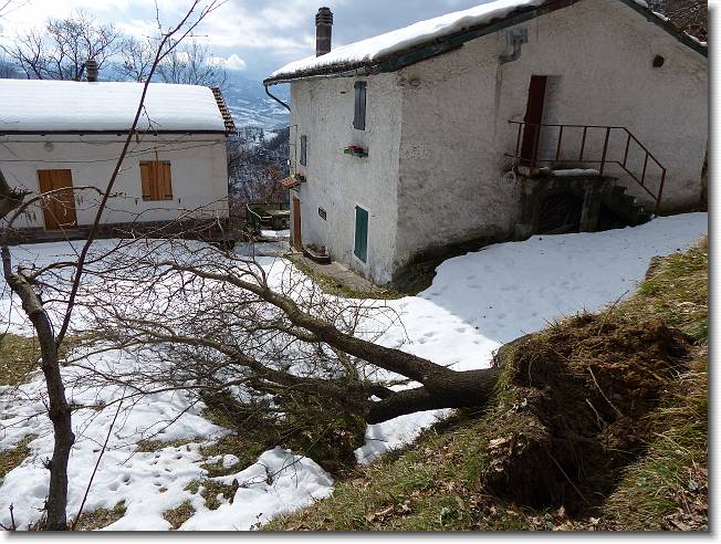 Clicca per scorrere le foto originali ingrandite