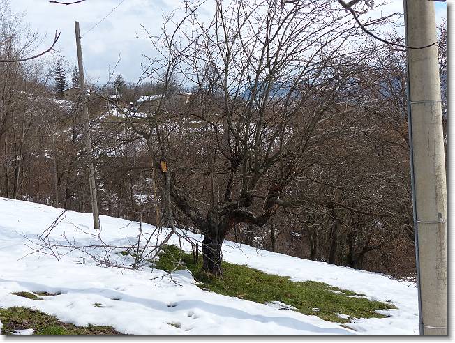 Clicca per scorrere le foto originali ingrandite